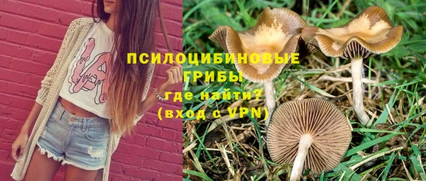 хмурый Нягань