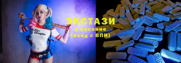 дживик Няндома