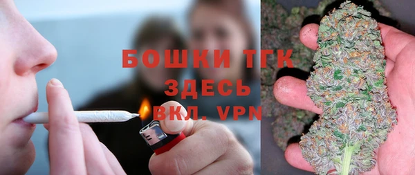 дживик Няндома