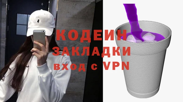 дживик Няндома