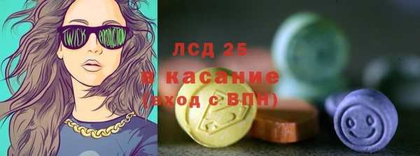 дживик Няндома