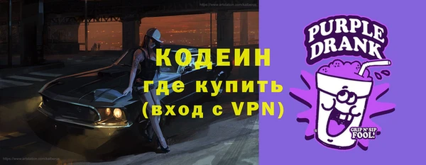 дживик Няндома