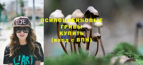 дживик Няндома