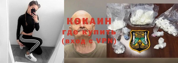 дживик Няндома