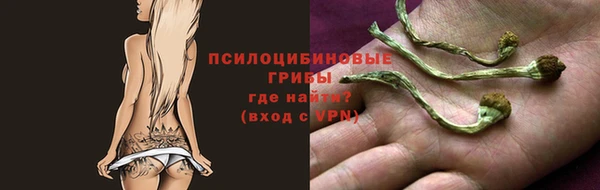 хмурый Нягань