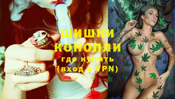 дживик Няндома