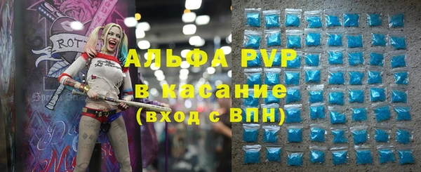 дживик Няндома