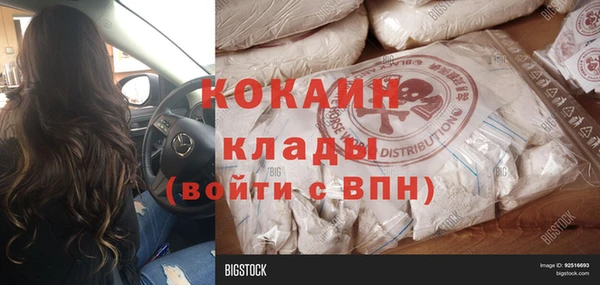 дживик Няндома