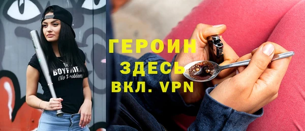 дживик Няндома