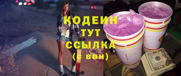 дживик Няндома